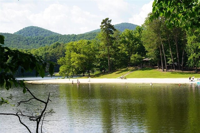 property view of water featuring a view of trees and a mountain view