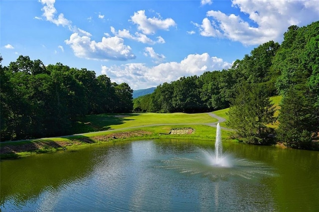 view of water feature with golf course view