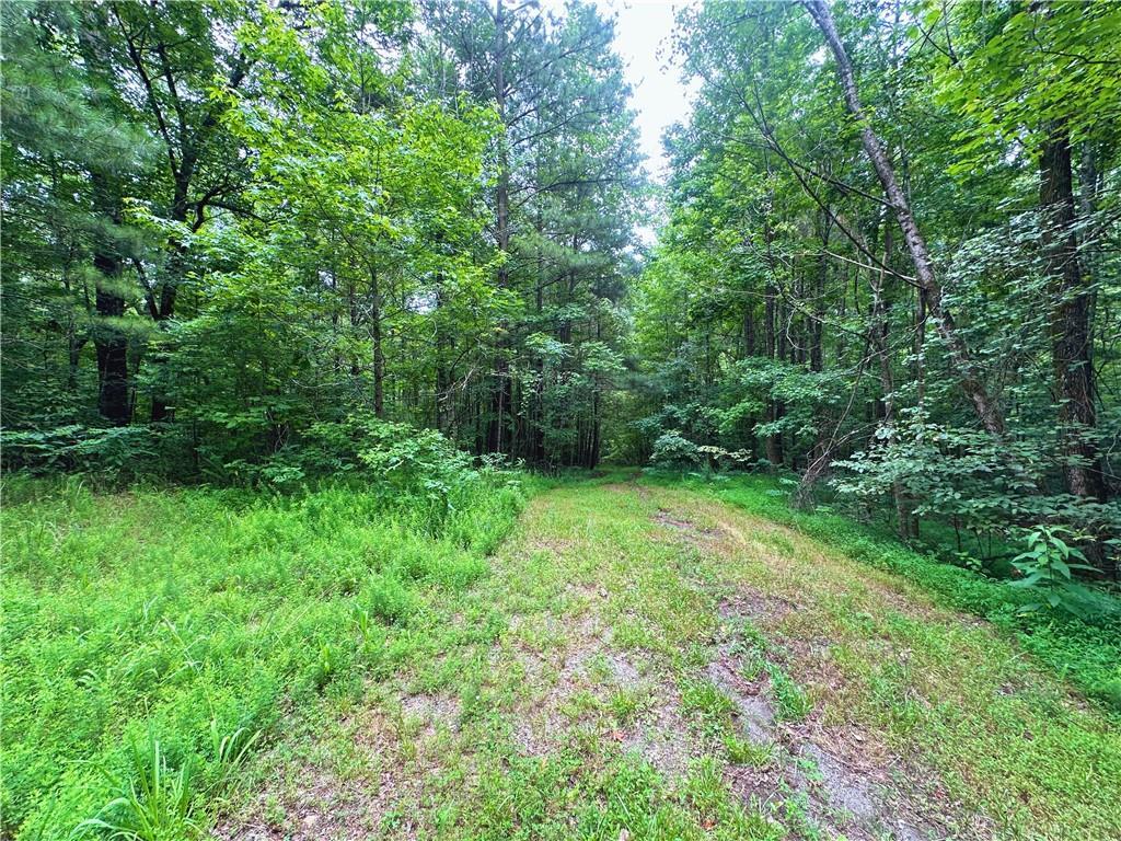 0 Old Post Trl, Talking Rock, GA 30175
