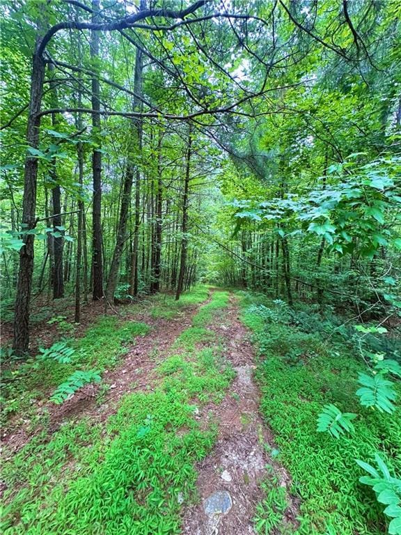 0 Old Post Trl, Talking Rock, GA 30175