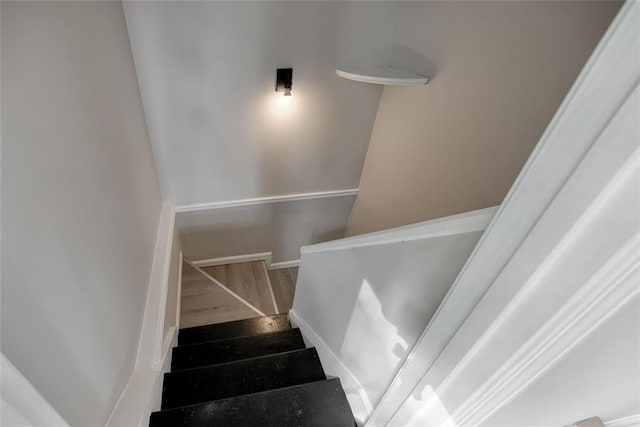 staircase featuring wood-type flooring