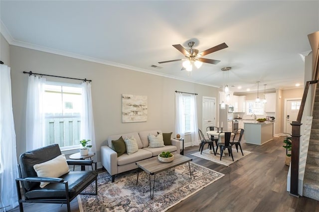 living room featuring crown molding, dark wood-type flooring, sink, and ceiling fan