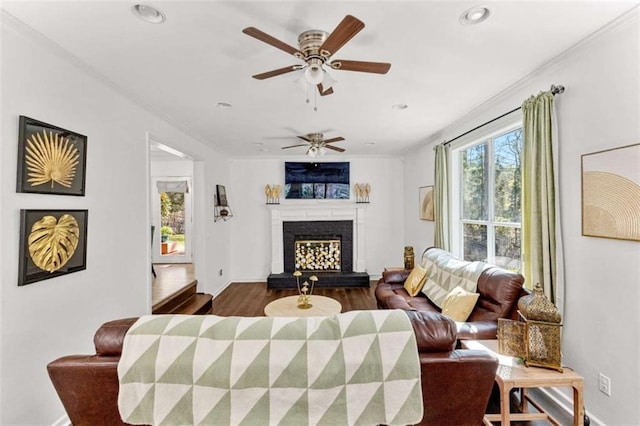 living area featuring baseboards, dark wood finished floors, recessed lighting, a fireplace with raised hearth, and ornamental molding