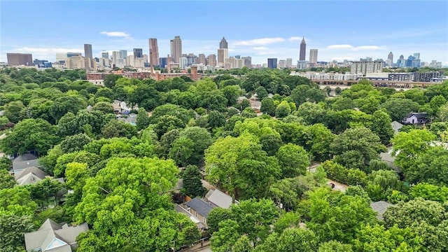 210 Estoria St SE, Atlanta, GA 30316 - drone / aerial view of a skyline view