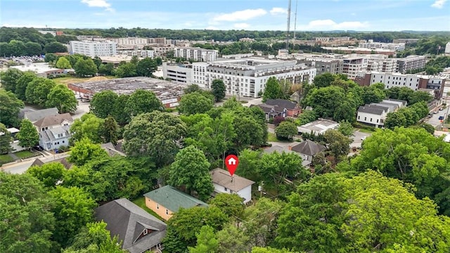 210 Estoria St SE, Atlanta, GA 30316 - bird's eye view of a tree filled landscape