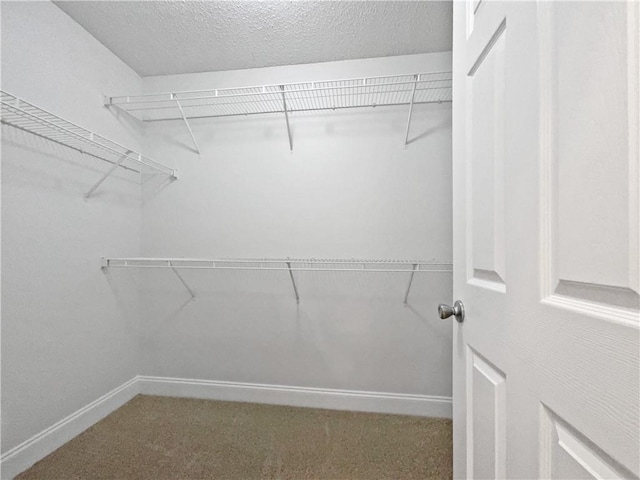 spacious closet with carpet floors