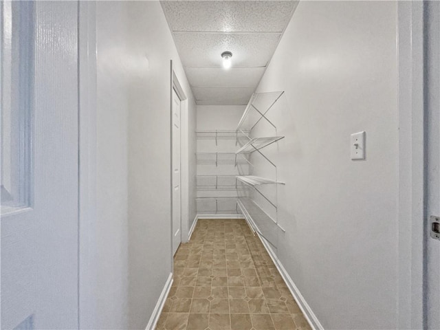 spacious closet featuring a drop ceiling