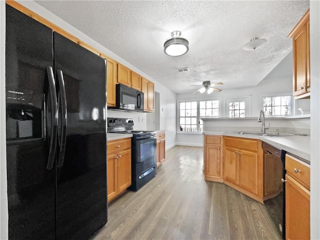 kitchen featuring light wood-type flooring, plenty of natural light, sink, and black appliances