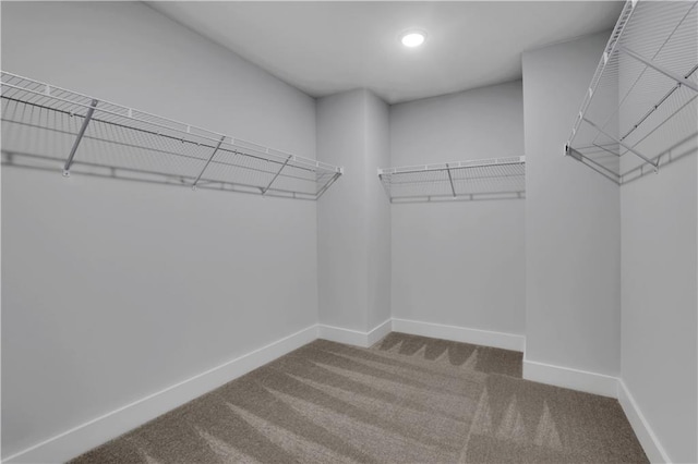 walk in closet featuring carpet floors