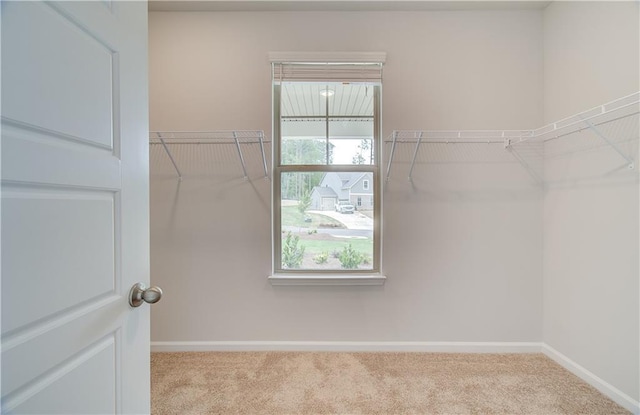 0 Cooper Cv E, Fayetteville, GA 30215 - walk in closet featuring carpet