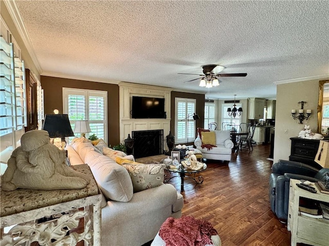 270 Owens Cir NE, Calhoun, GA 30701 - living area with crown molding, a ceiling fan, plenty of natural light, a fireplace, and dark wood-style floors