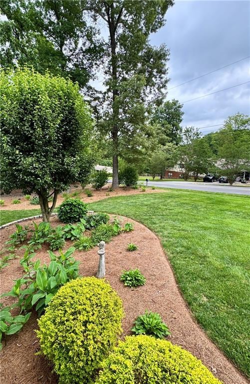 270 Owens Cir NE, Calhoun, GA 30701 - view of green lawn