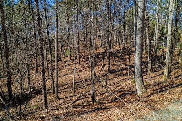 Listing photo 2 for LOT68 Julep Cir, Ellijay GA 30540