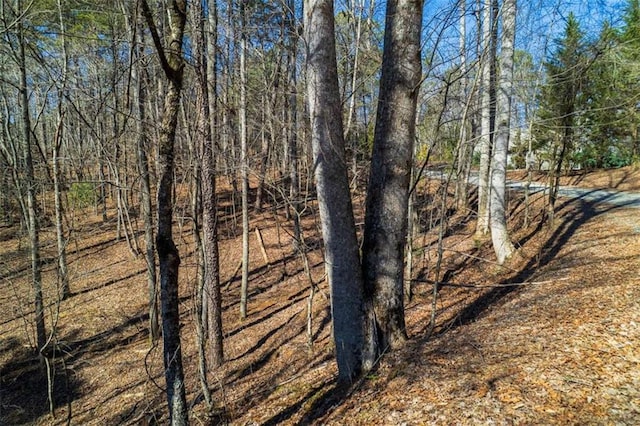 Listing photo 3 for LOT68 Julep Cir, Ellijay GA 30540