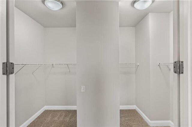 walk in closet with carpet flooring