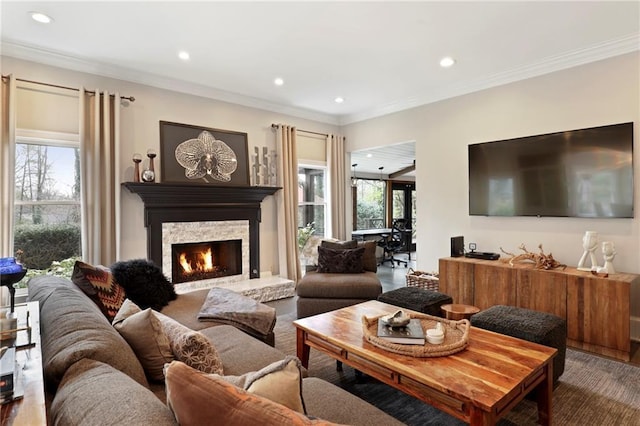 living room featuring crown molding and dark hardwood / wood-style floors