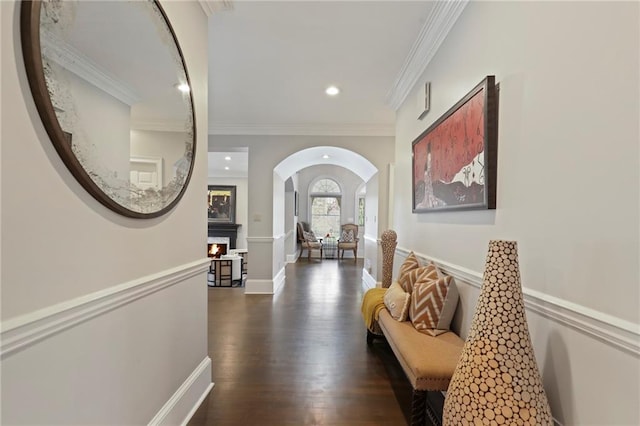 hall featuring crown molding and dark wood-type flooring