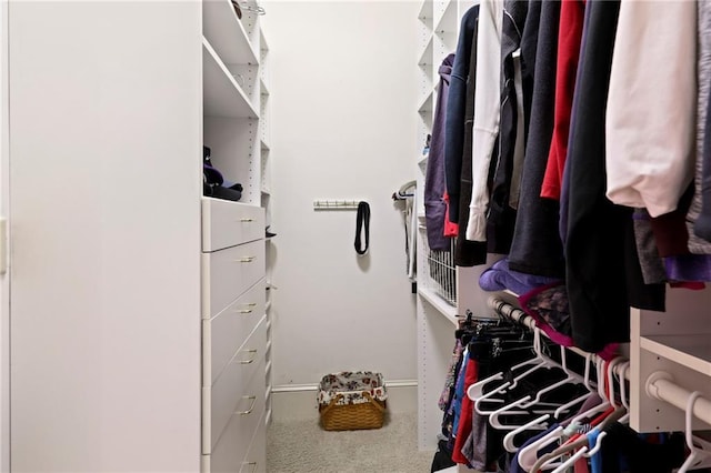 spacious closet with carpet