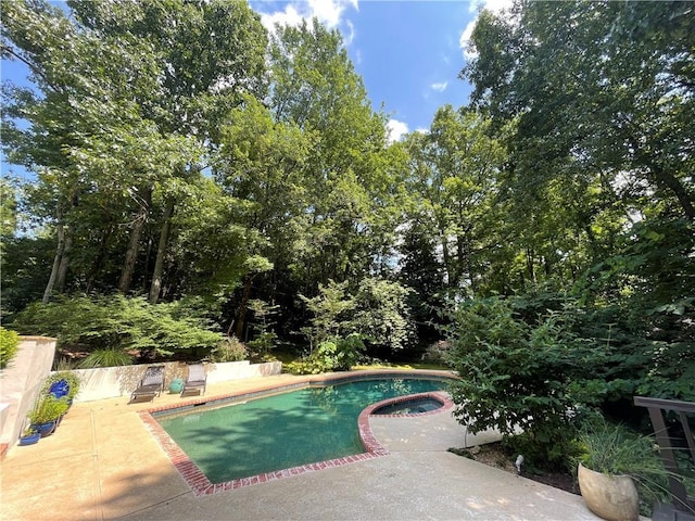 view of pool featuring a patio area