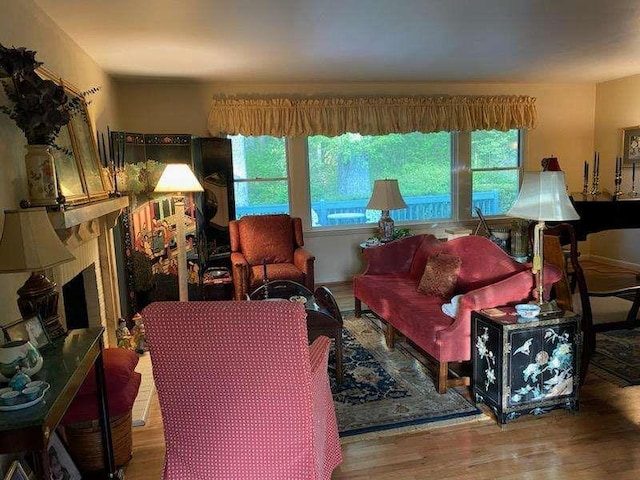 living room with hardwood / wood-style floors and a wealth of natural light