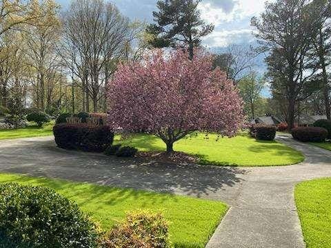 view of property's community featuring a lawn