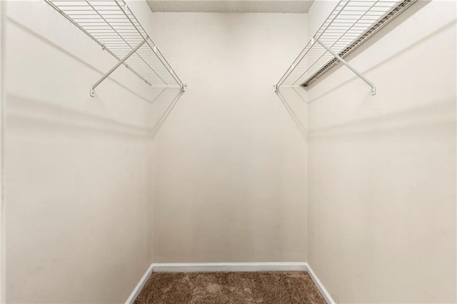4100 Howell Park Rd, Duluth, GA 30096 - spacious closet with carpet flooring