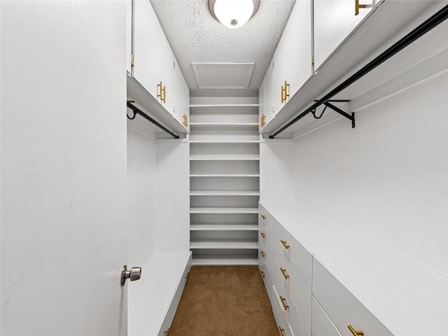 30 Court S, Ellenwood, GA 30294 - walk in closet featuring dark carpet