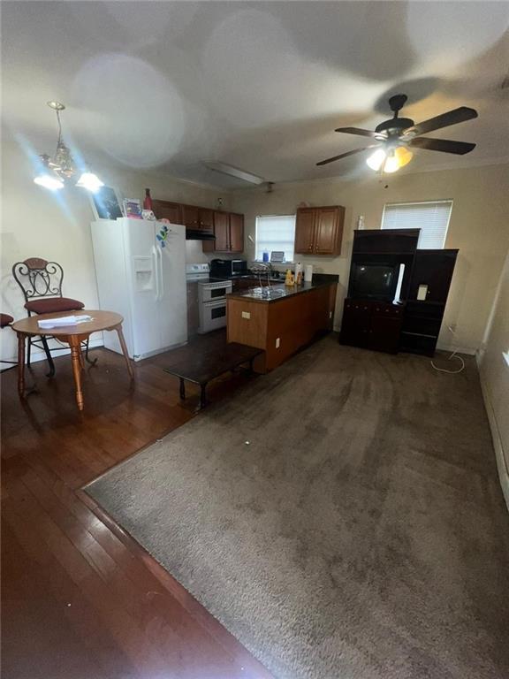 interior space with dark hardwood / wood-style floors, ceiling fan, and sink