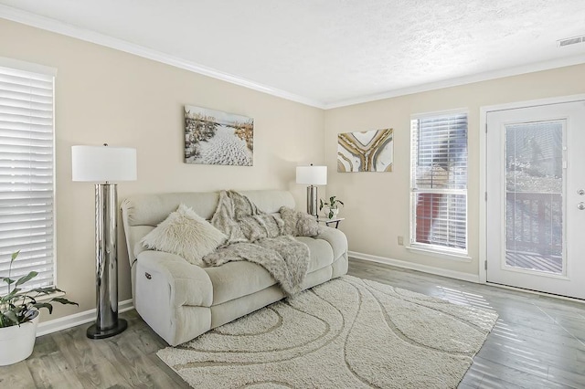 living room featuring crown molding, wood-type flooring, and a textured ceiling