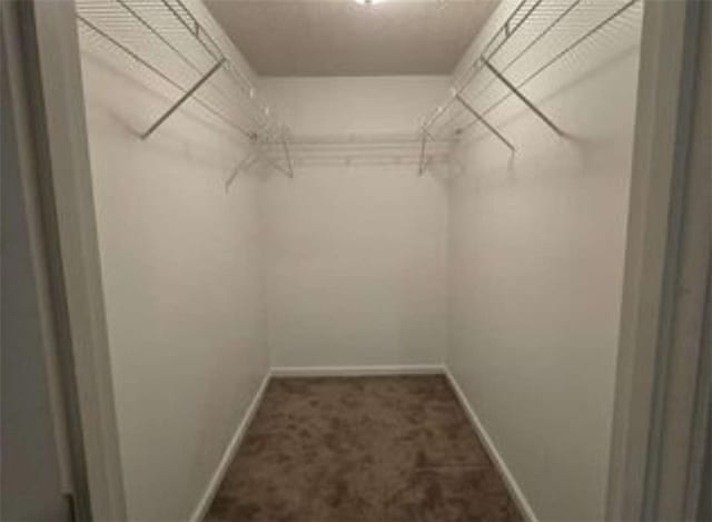 walk in closet featuring carpet