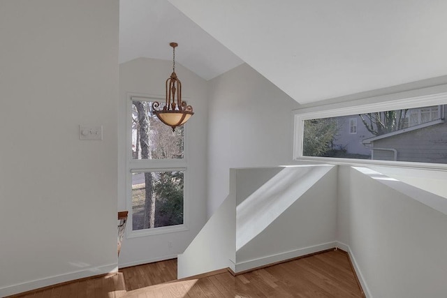 entryway featuring lofted ceiling and hardwood / wood-style floors