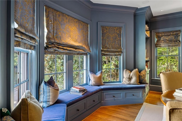 92 Old Ivy Rd NE Unit 6, Atlanta, GA 30342 - living area featuring light wood-type flooring and ornamental molding