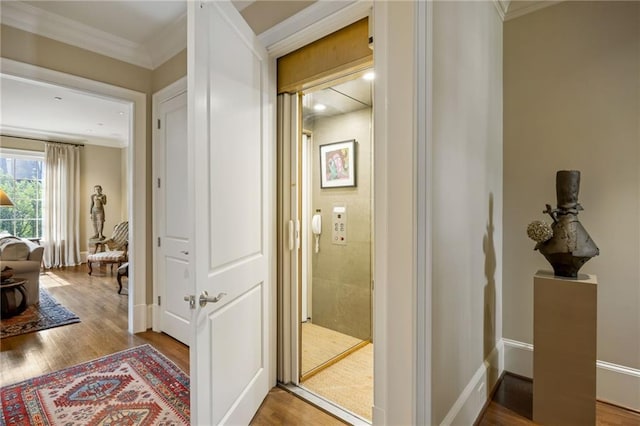 92 Old Ivy Rd NE Unit 6, Atlanta, GA 30342 - corridor featuring ornamental molding and wood finished floors