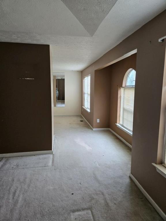 spare room with plenty of natural light, a textured ceiling, and light colored carpet