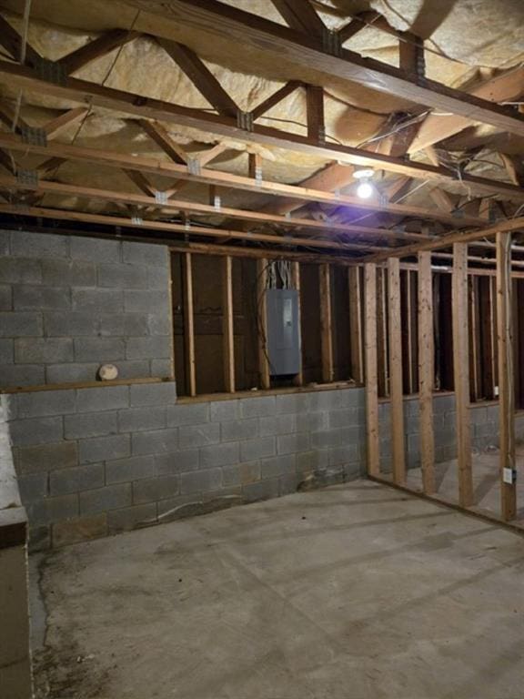 basement with electric panel