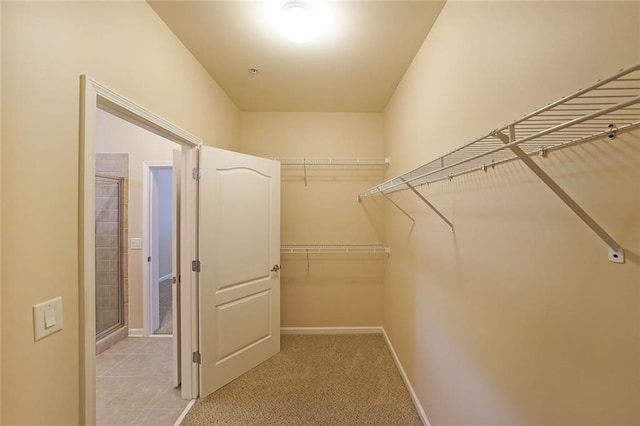 223 Glens Loop, Woodstock, GA 30188 - view of walk in closet