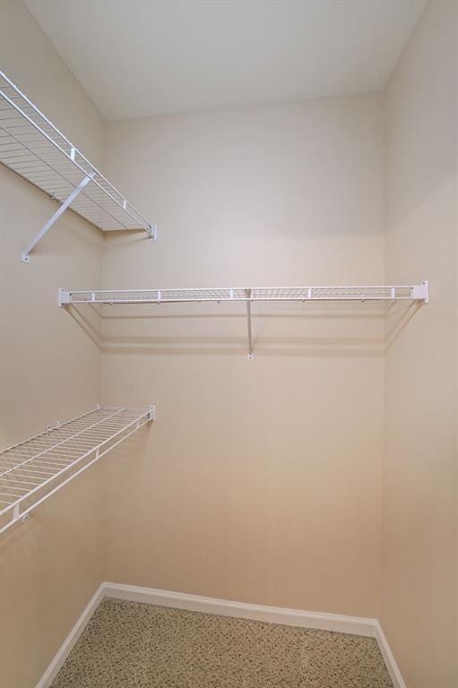 223 Glens Loop, Woodstock, GA 30188 - view of spacious closet