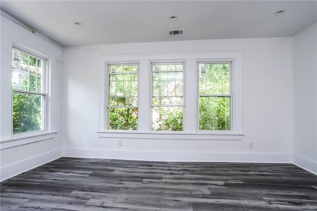 spare room with dark wood-type flooring and a wealth of natural light