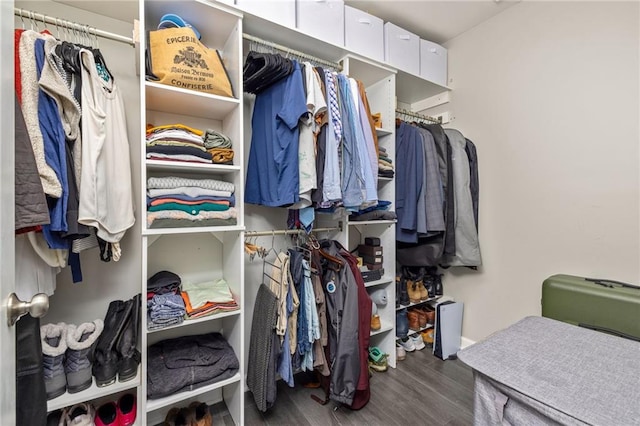 spacious closet featuring wood finished floors