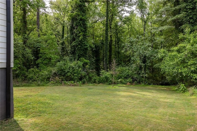 view of yard featuring a forest view