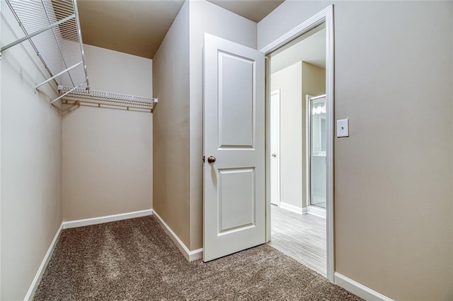 walk in closet featuring carpet floors