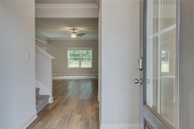 entryway with crown molding, ceiling fan, and light wood-type flooring