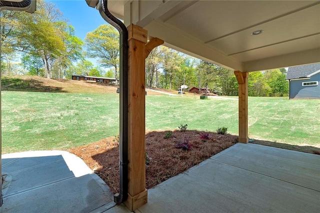 view of yard featuring a patio area