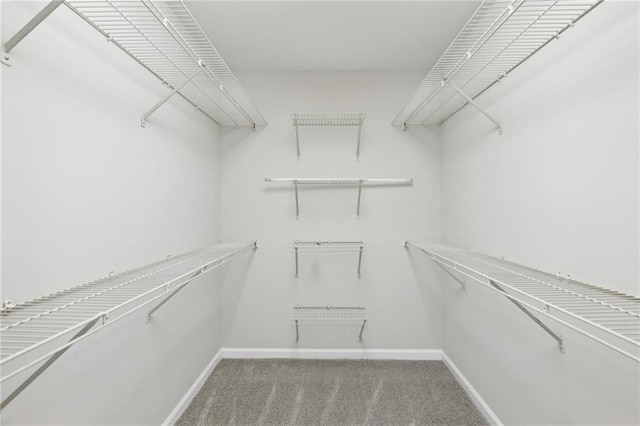 bathroom featuring hardwood / wood-style floors and vanity