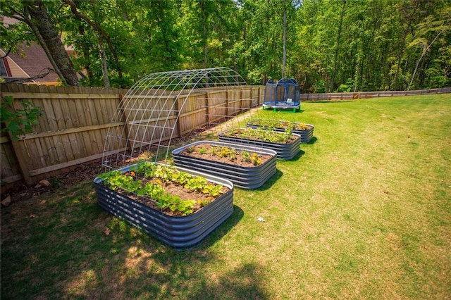 200 Carney Ct, Ball Ground, GA 30107 - view of yard with a fenced backyard, a trampoline, a garden, and a forest view