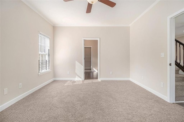 spare room featuring ornamental molding, carpet floors, and ceiling fan