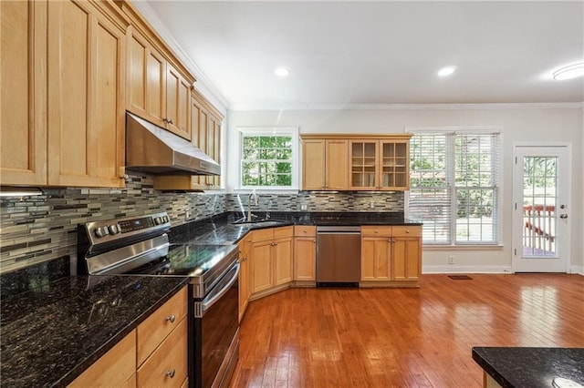 kitchen with ornamental molding, appliances with stainless steel finishes, under cabinet range hood, and a sink