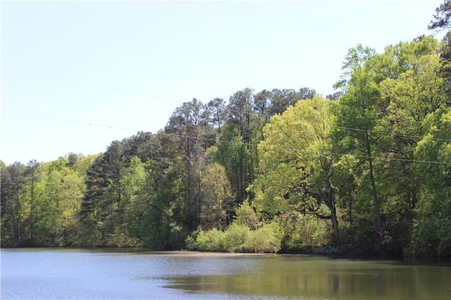 view of water feature featuring a view of trees