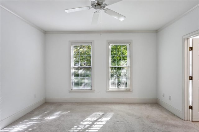 carpeted spare room with ceiling fan and ornamental molding