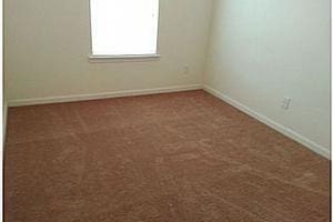 spare room with carpet